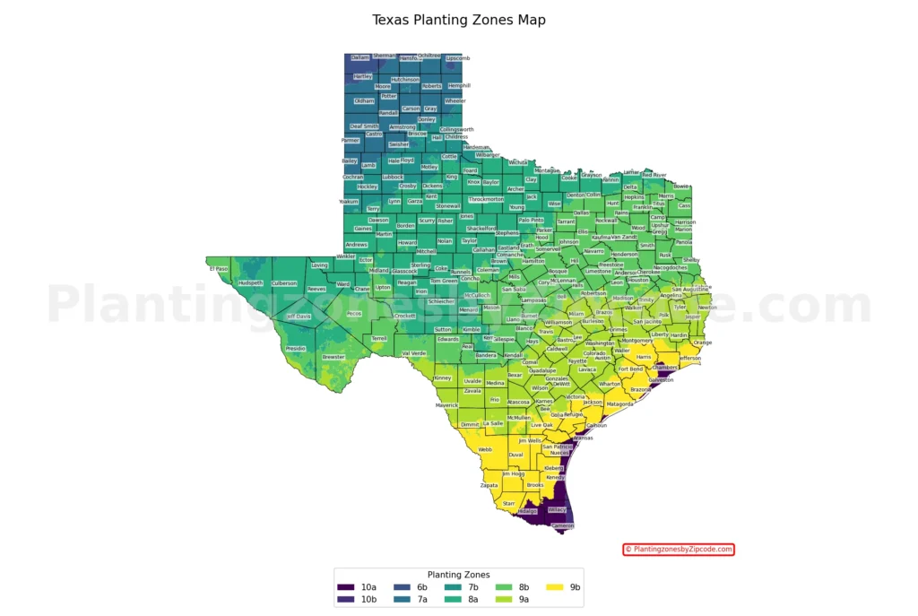 Texas Hardiness Zones Map