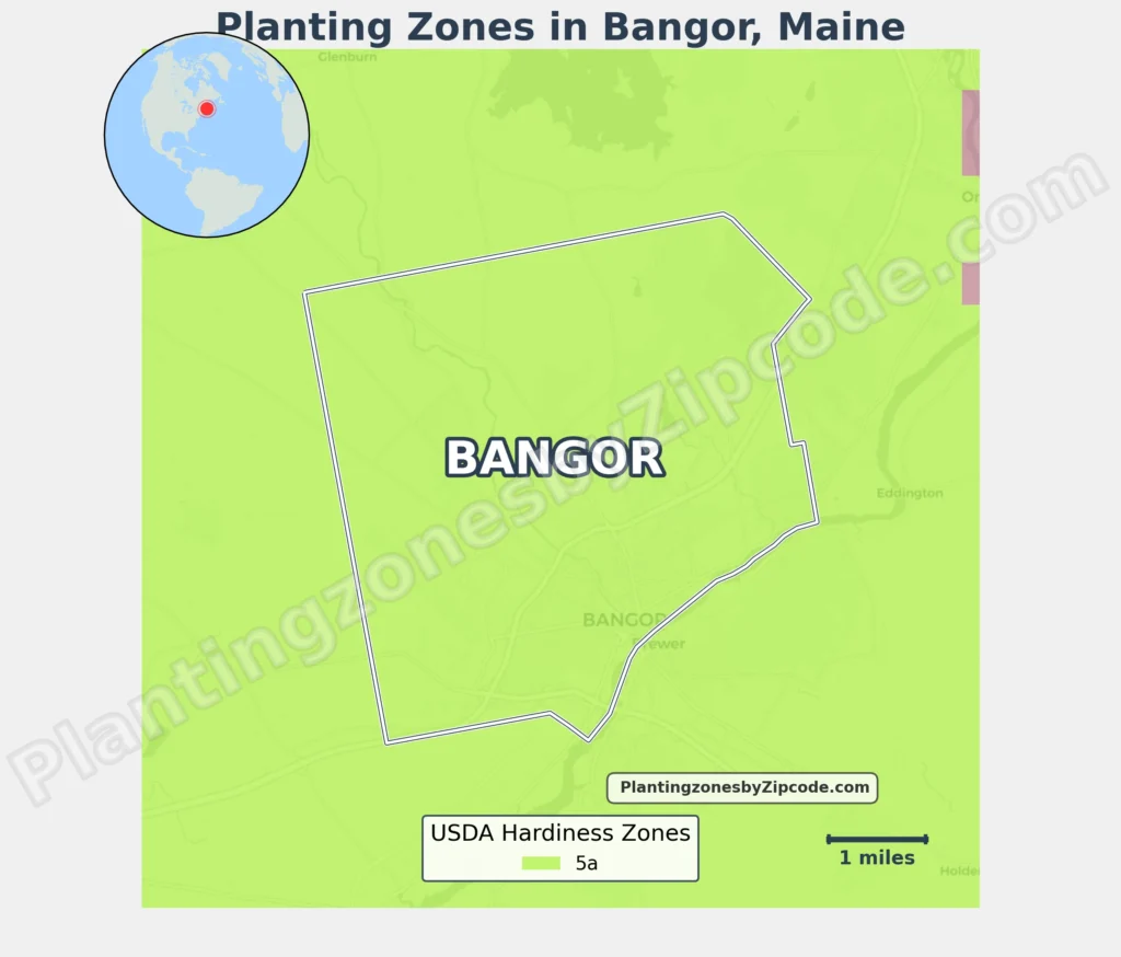usda planting zone in bangor maine