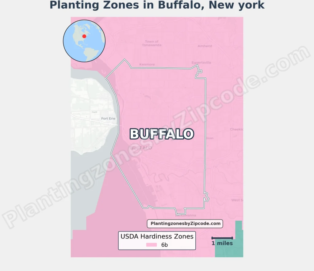 planting zone buffalo new york map