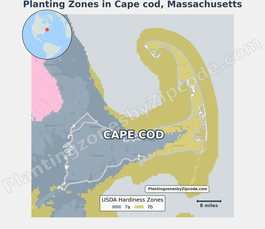 planting zone cape cod Massachusetts