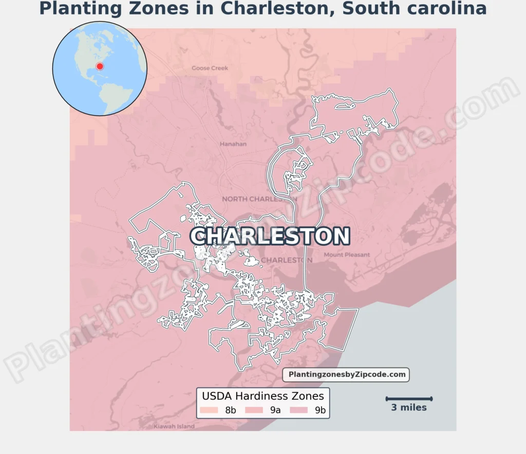 planting zone charleston sc