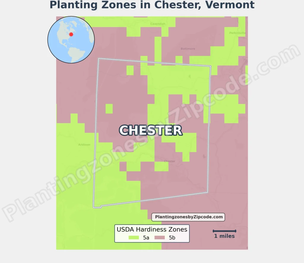 Chester vermont USDA Hardiness zones map
