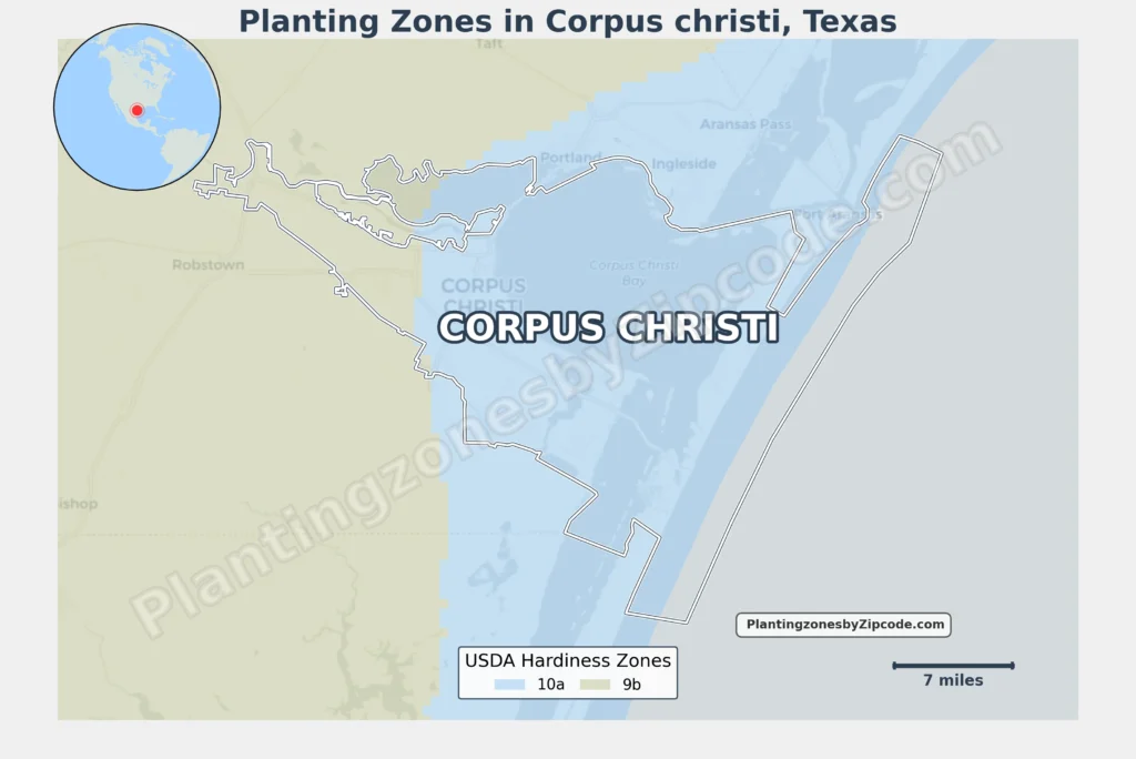 corpus christi texas USDA Hardiness Zones Map