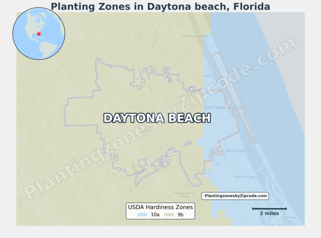 planting zone in daytona beach florida