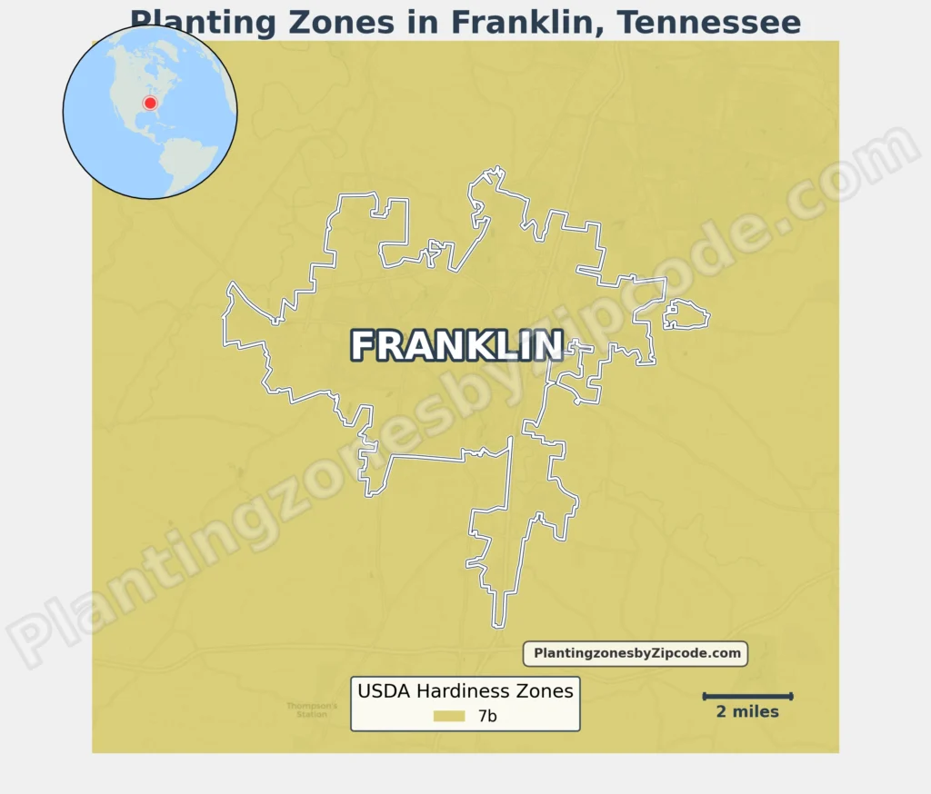 usda planting zone in franklin TN