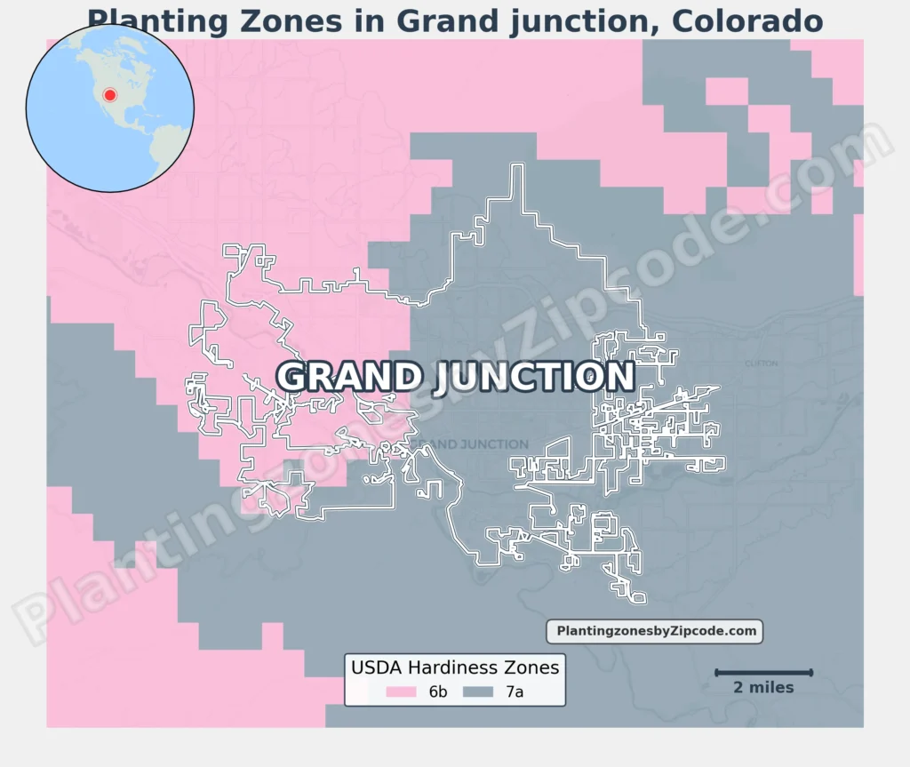 grand junction colorado growing zone