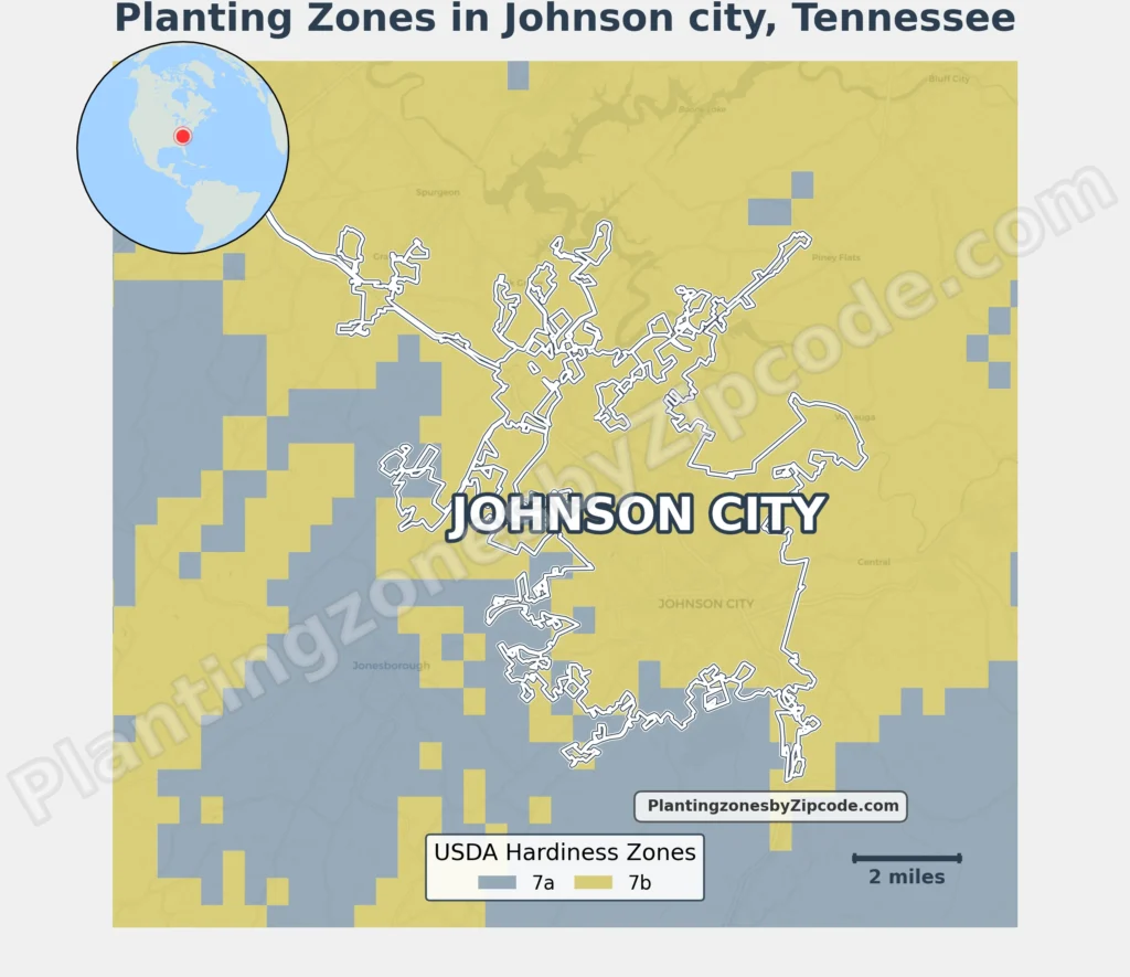 usda planting zone in johnson city tn