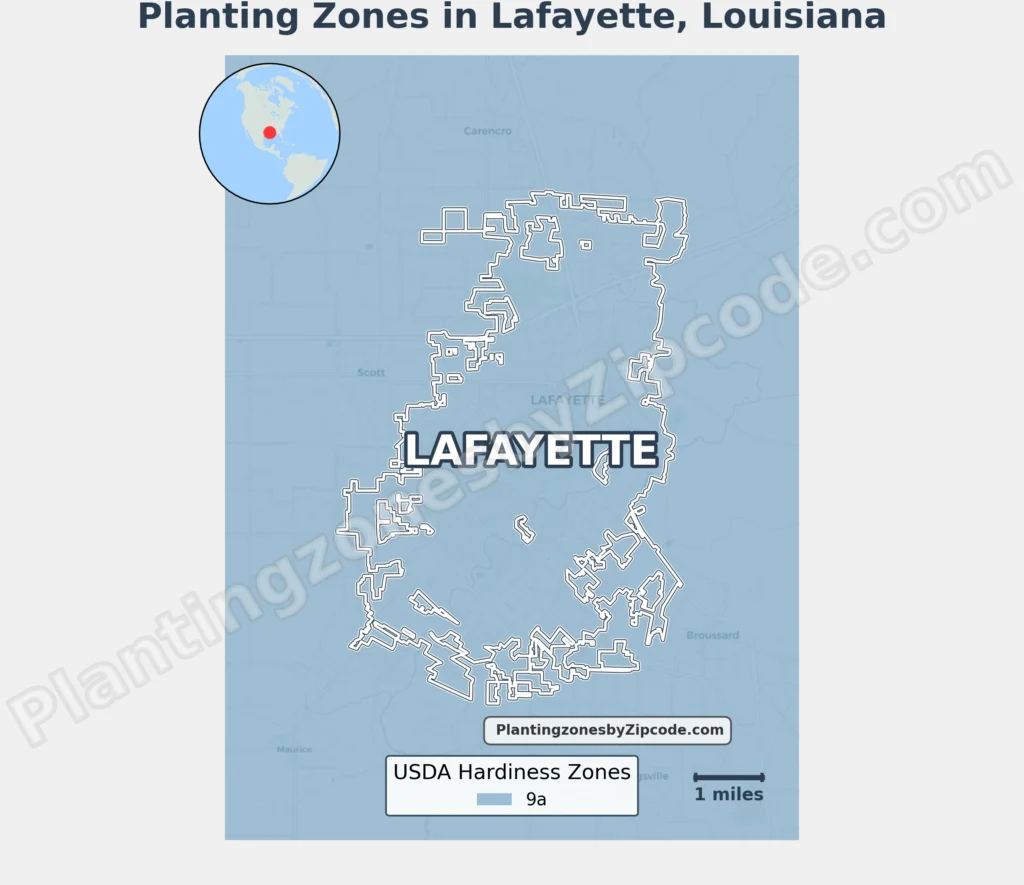 usda planting zone in lafayette la