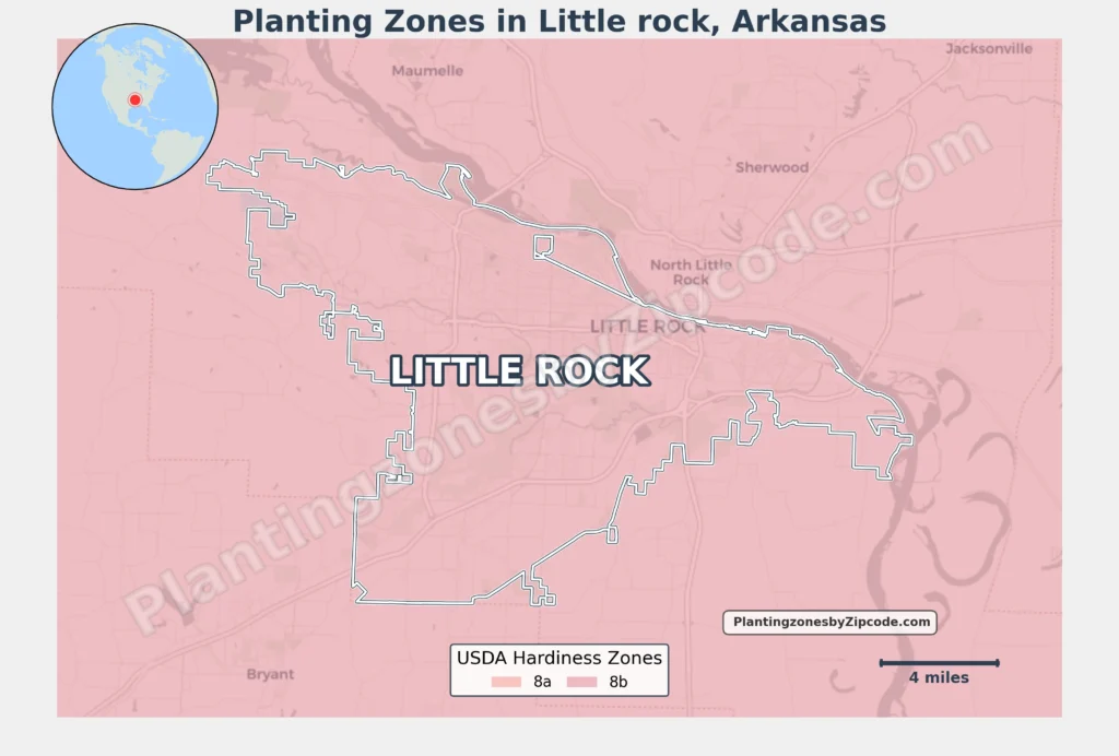 planting zone little rock arkansas