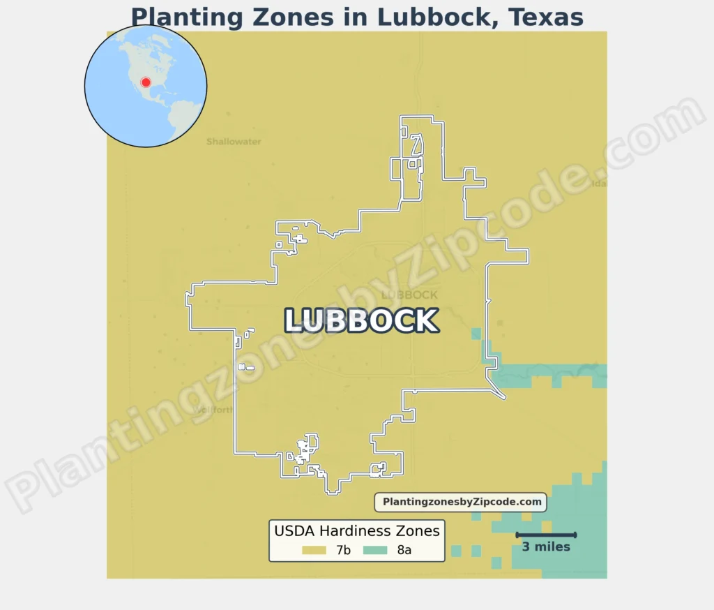 Lubbock Texas Planting Zones Map
