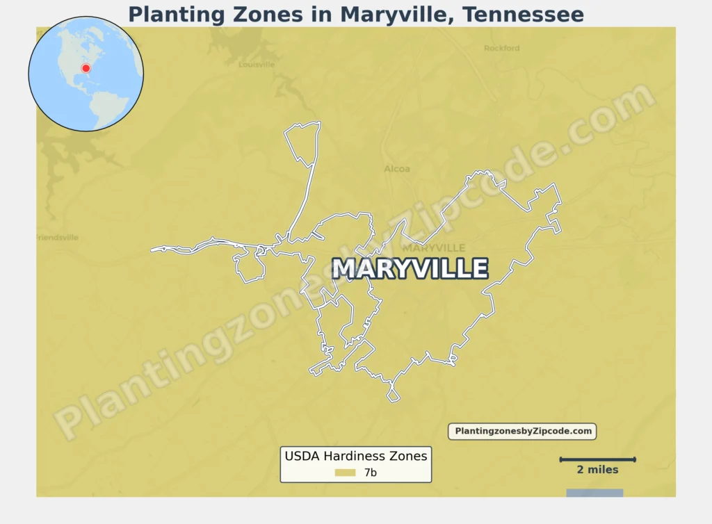 usda planting zone in maryville tn