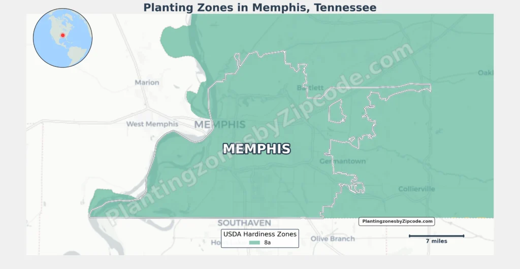 planting zone memphis tn