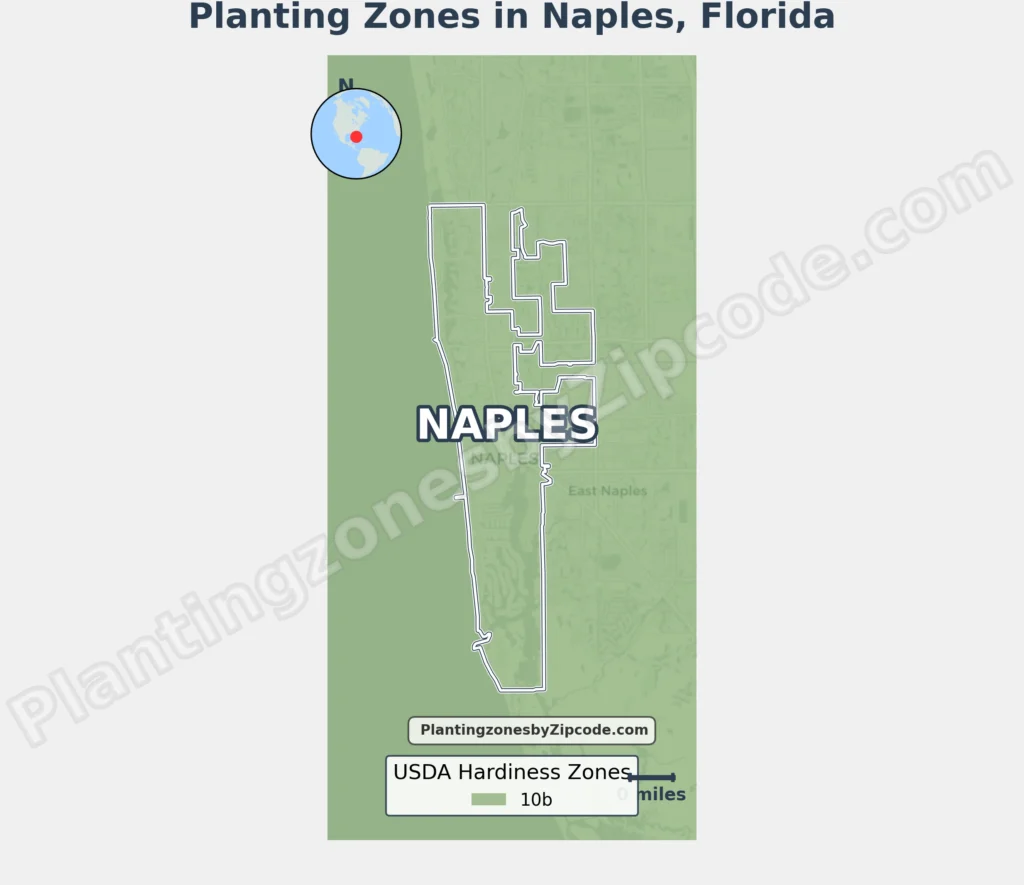 growing zone in naples florida