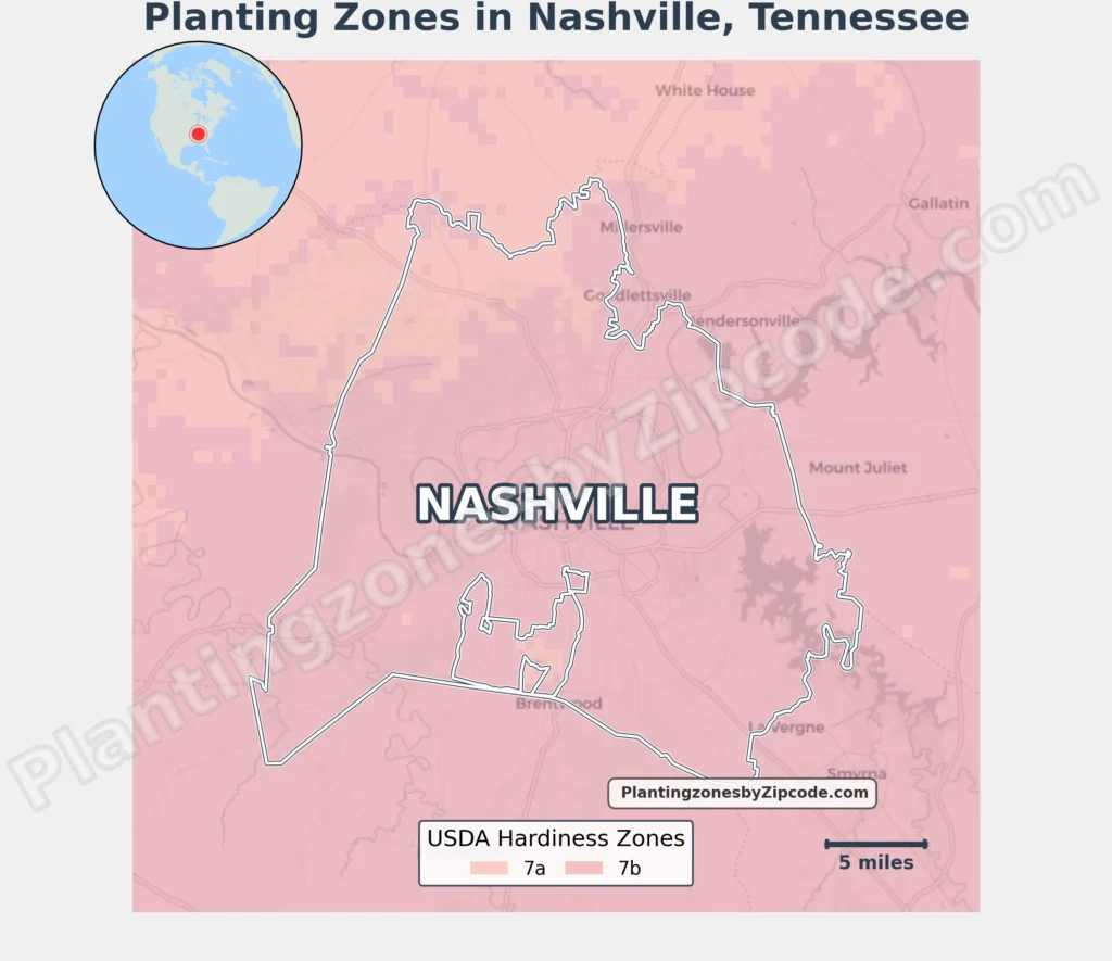 planting zone nashville tn