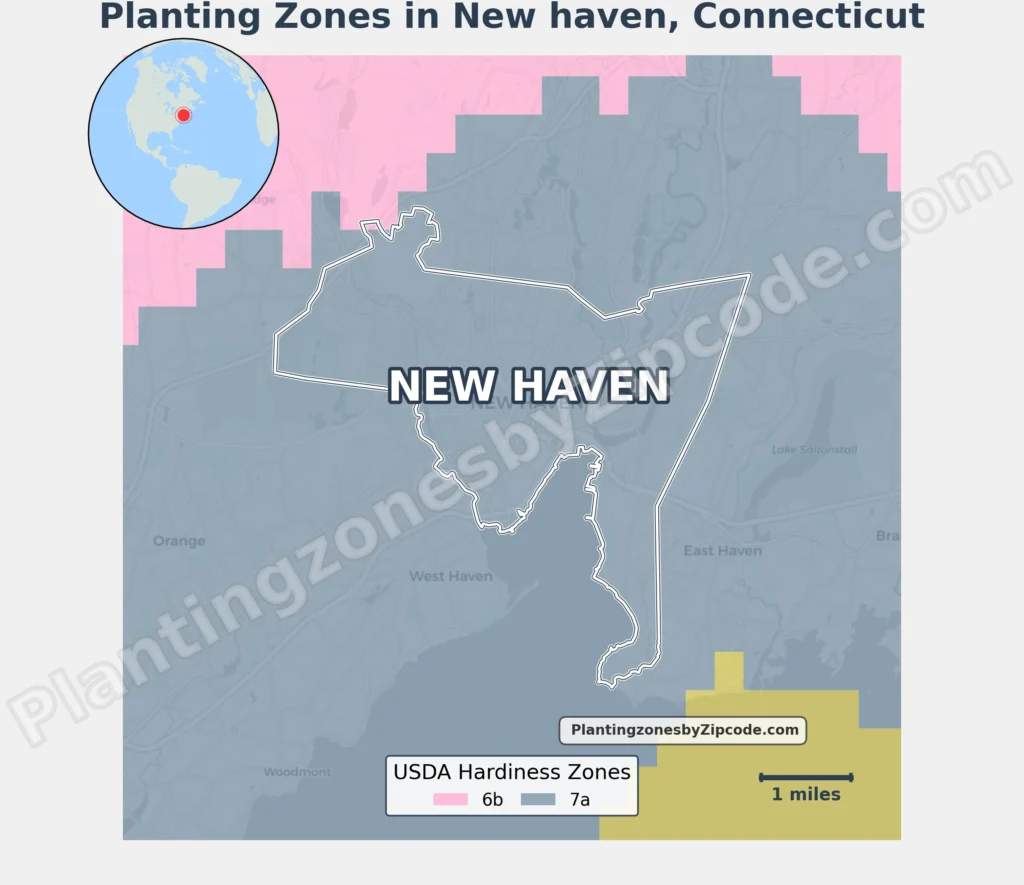 USDA Planting zone in new haven ct
