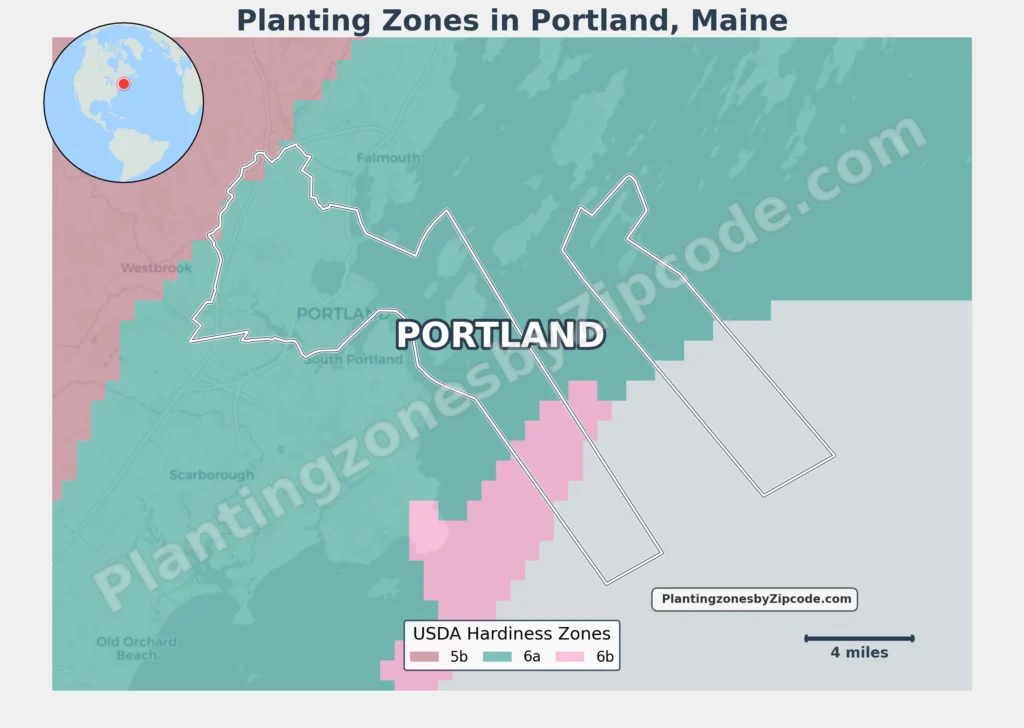 usda planting zone in portland maine