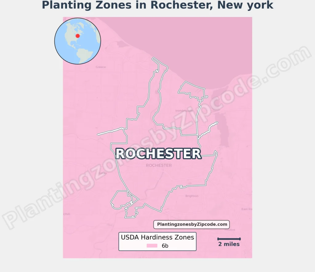 planting zone rochester ny