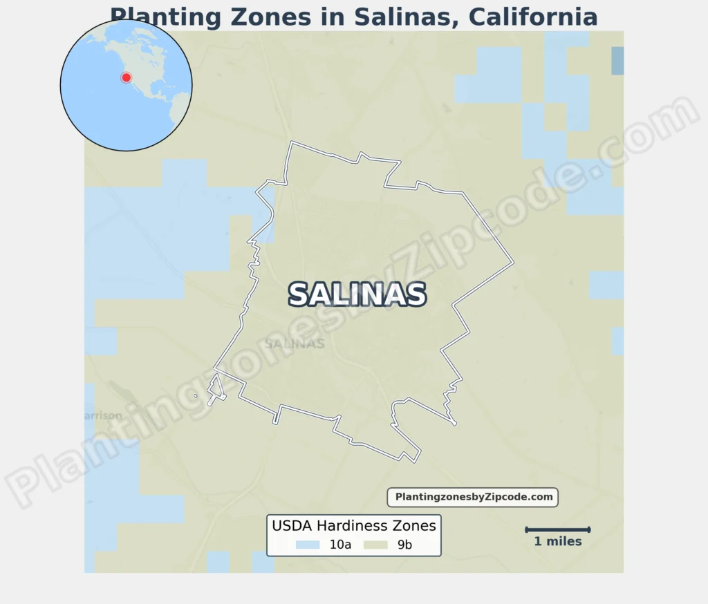 Salinas, CA, Planting zones map