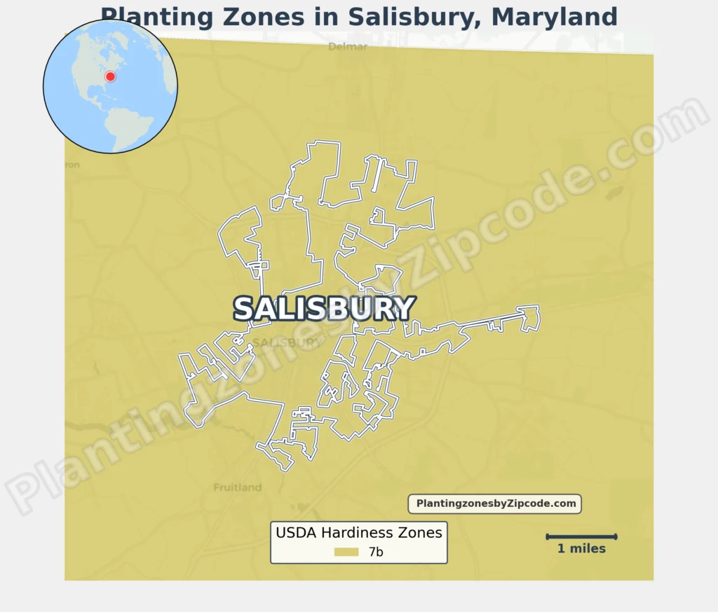 growing zone in salisbury md