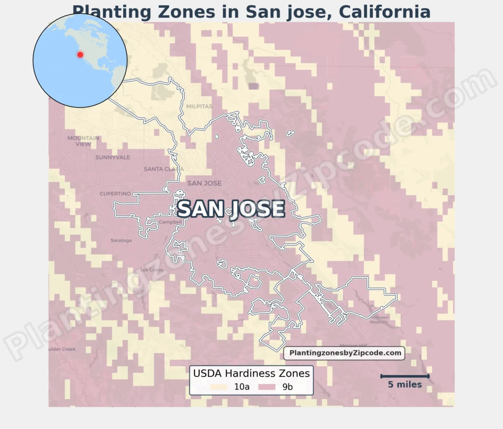 planting zone san jose ca