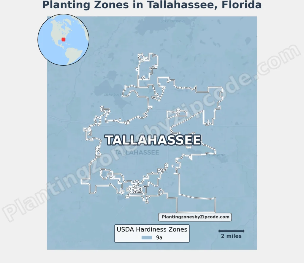Map of USDA Planting Zone in Tallahassee Florida