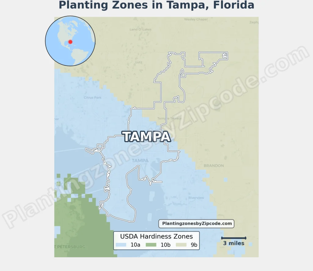 planting zone in tampa florida