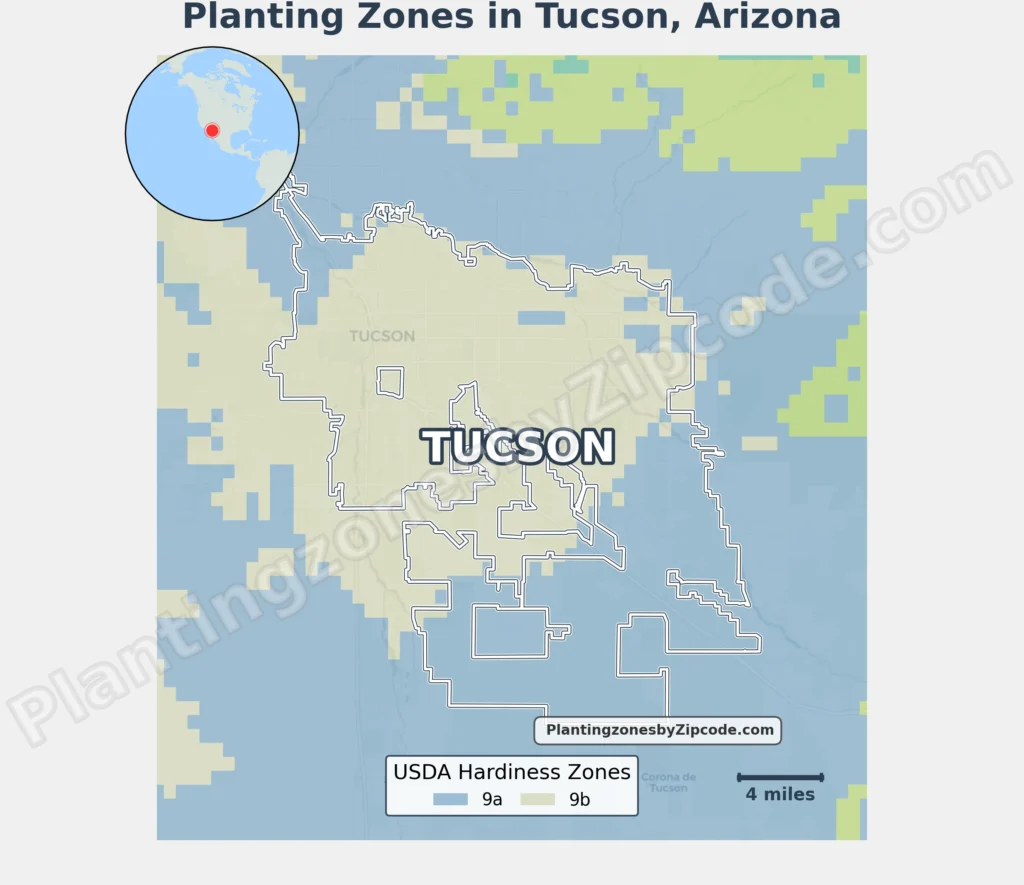 planting zone tucson az