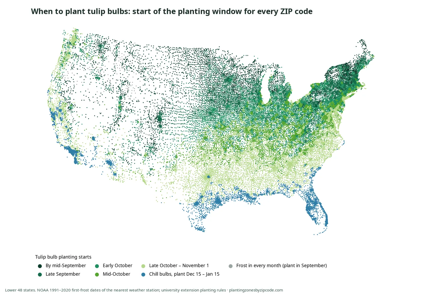 How to Find the Tulip Planting Date for a ZIP Code: start of the tulip bulb planting window by ZIP code