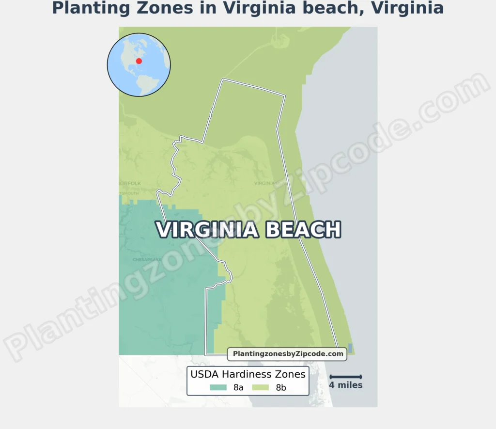 planting zone virginia beach