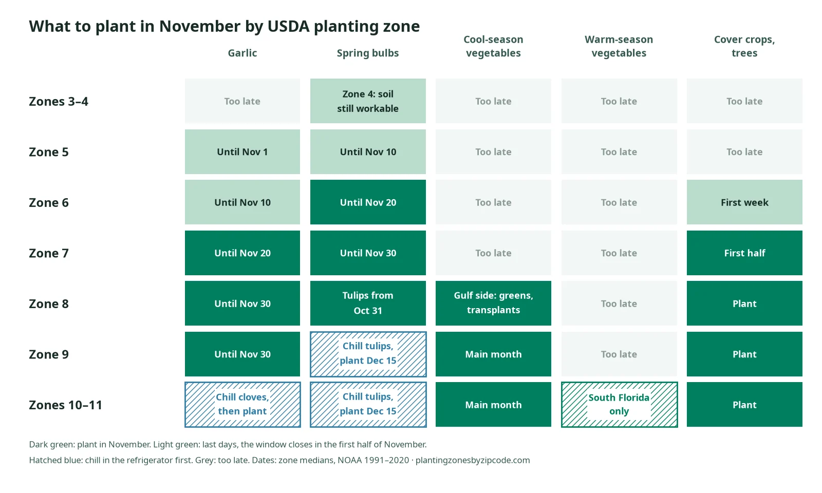 What to plant in November by USDA zone: chart of garlic, spring bulbs, cool-season vegetables, warm-season vegetables, cover crops, and trees for Zones 3–11