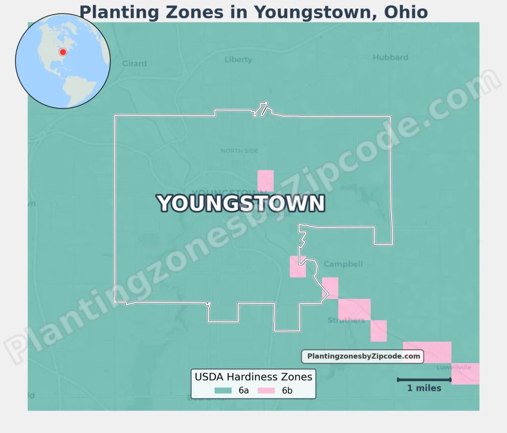 plating zone youngstown ohio map