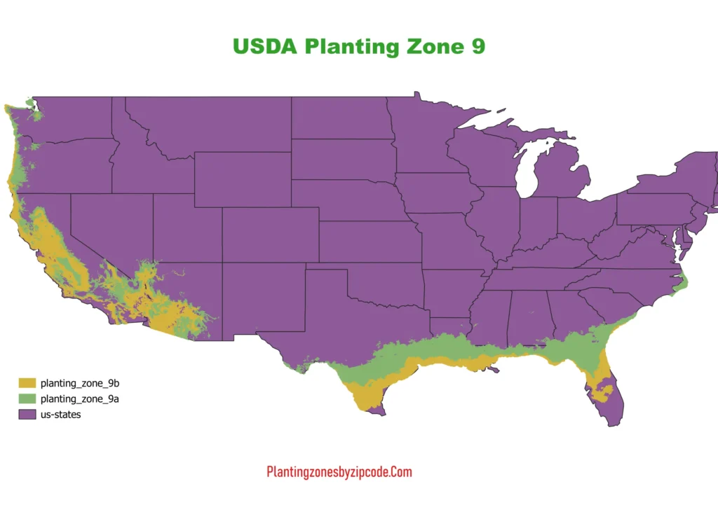 USDA hardiness zone 9 map